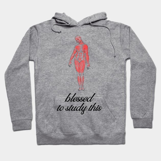 Blessed To Study This Anatomy - Medical Student in Medschool Hoodie by Medical Student Tees